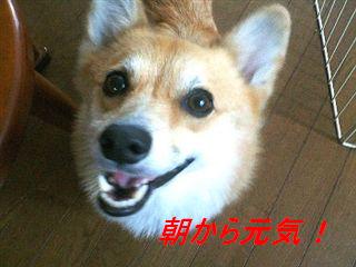 �ی쌢���umix��HAL�ƃS�[���f����Rick