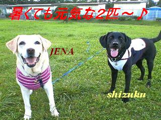 �ی쌢���umix��HAL�ƃS�[���f����Rick