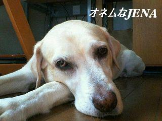 �ی쌢���umix��HAL�ƃS�[���f����Rick