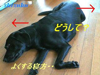 �ی쌢���umix��HAL�ƃS�[���f����Rick