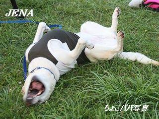 �ی쌢���umix��HAL�ƃS�[���f����Rick