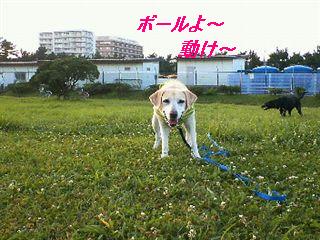 �ی쌢���umix��HAL�ƃS�[���f����Rick