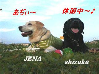 �ی쌢���umix��HAL�ƃS�[���f����Rick