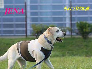 �ی쌢���umix��HAL�ƃS�[���f����Rick