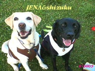 �ی쌢���umix��HAL�ƃS�[���f����Rick