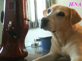 �ی쌢���umix��HAL�ƃS�[���f����Rick