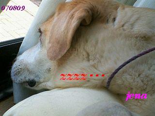 �ی쌢���umix��HAL�ƃS�[���f����Rick