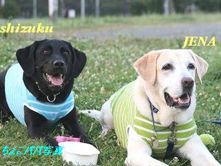 �ی쌢���umix��HAL�ƃS�[���f����Rick