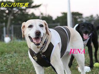 �ی쌢���umix��HAL�ƃS�[���f����Rick