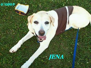 �ی쌢���umix��HAL�ƃS�[���f����Rick