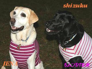 �ی쌢���umix��HAL�ƃS�[���f����Rick