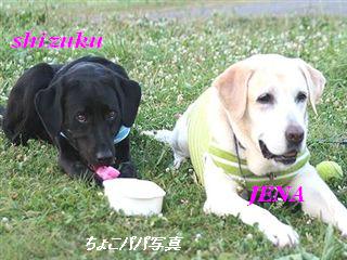 �ی쌢���umix��HAL�ƃS�[���f����Rick