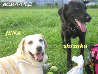 �ی쌢���umix��HAL�ƃS�[���f����Rick