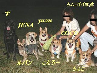 �ی쌢���umix��HAL�ƃS�[���f����Rick