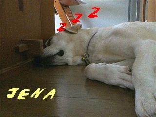 �ی쌢���umix��HAL�ƃS�[���f����Rick