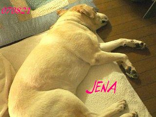 �ی쌢���umix��HAL�ƃS�[���f����Rick