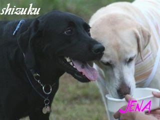 �ی쌢���umix��HAL�ƃS�[���f����Rick