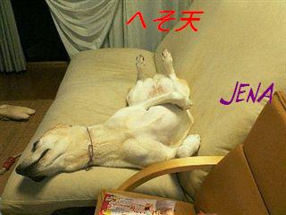 �ی쌢���umix��HAL�ƃS�[���f����Rick