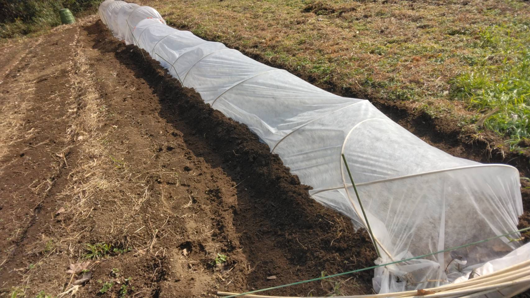 �Ó쎩�R���͔|���̂R