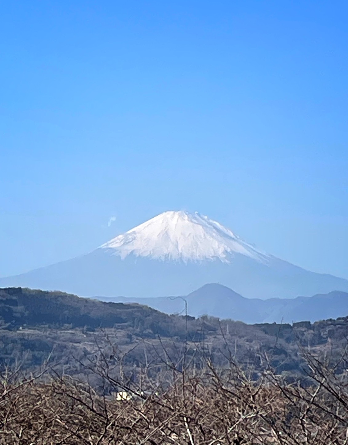 �Ó쎩�R���͔|���̂R