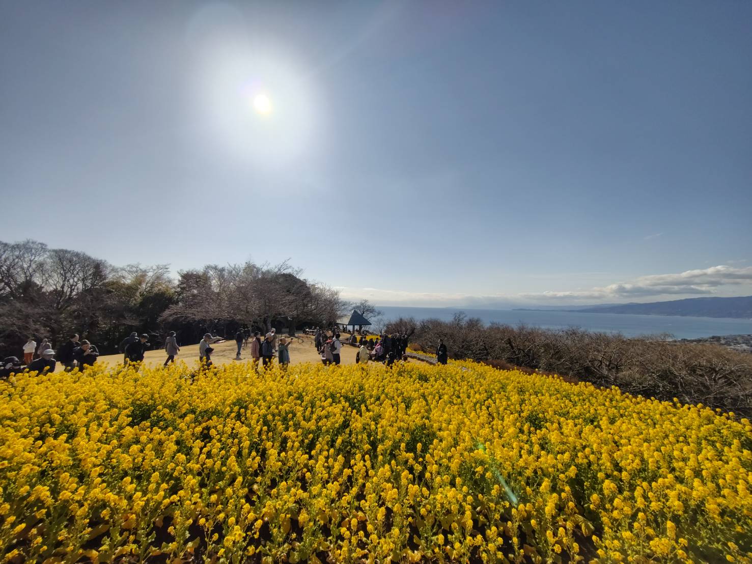 �Ó쎩�R���͔|���̂R