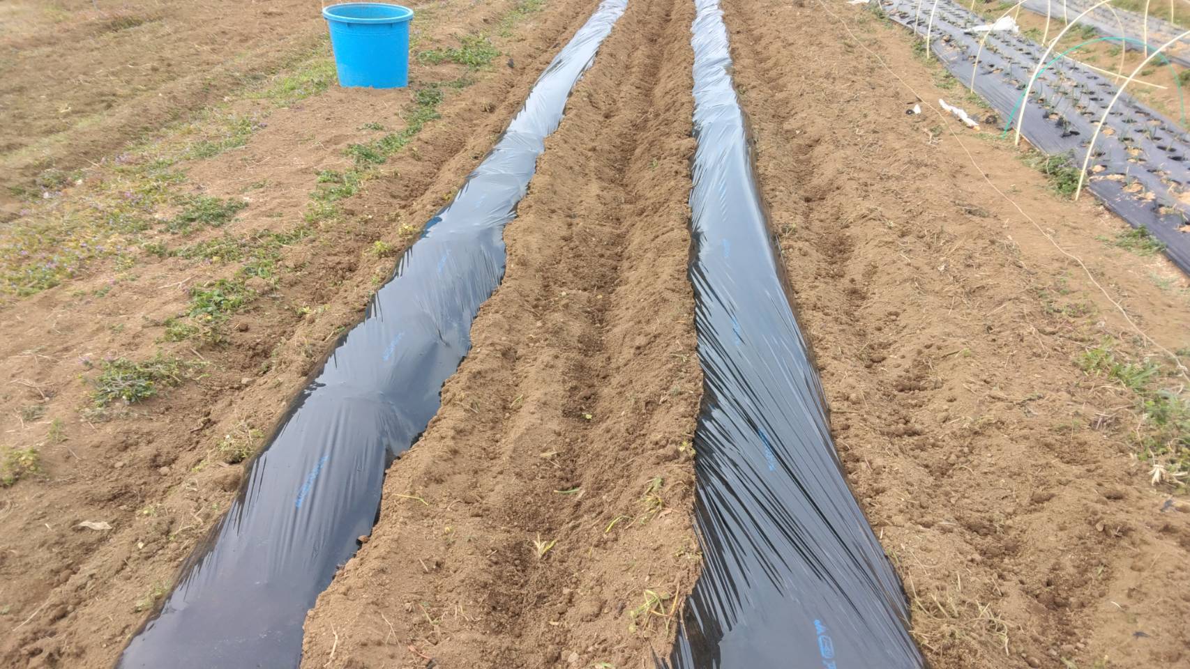 �Ó쎩�R���͔|���̂R