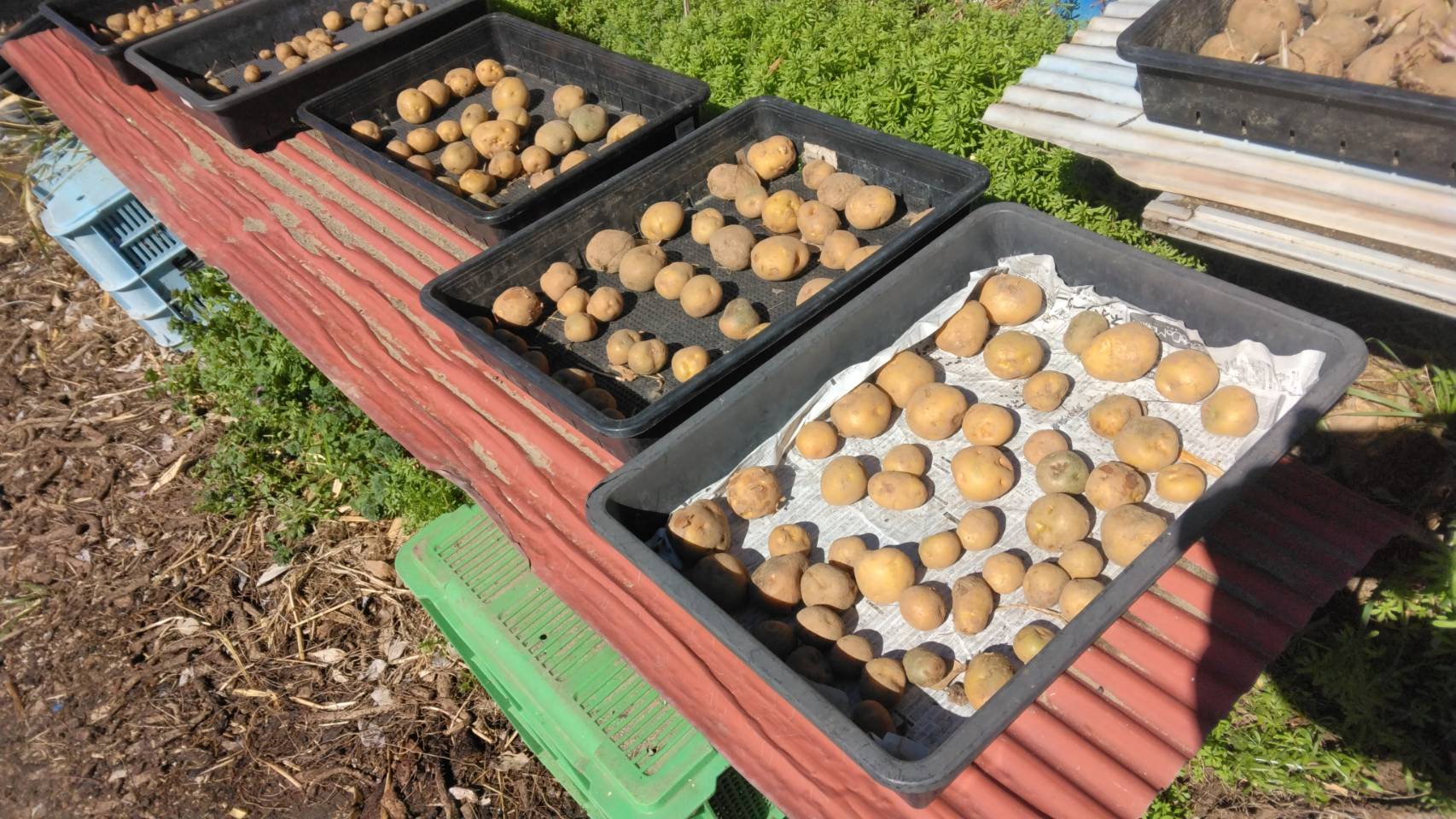 �Ó쎩�R���͔|���̂R