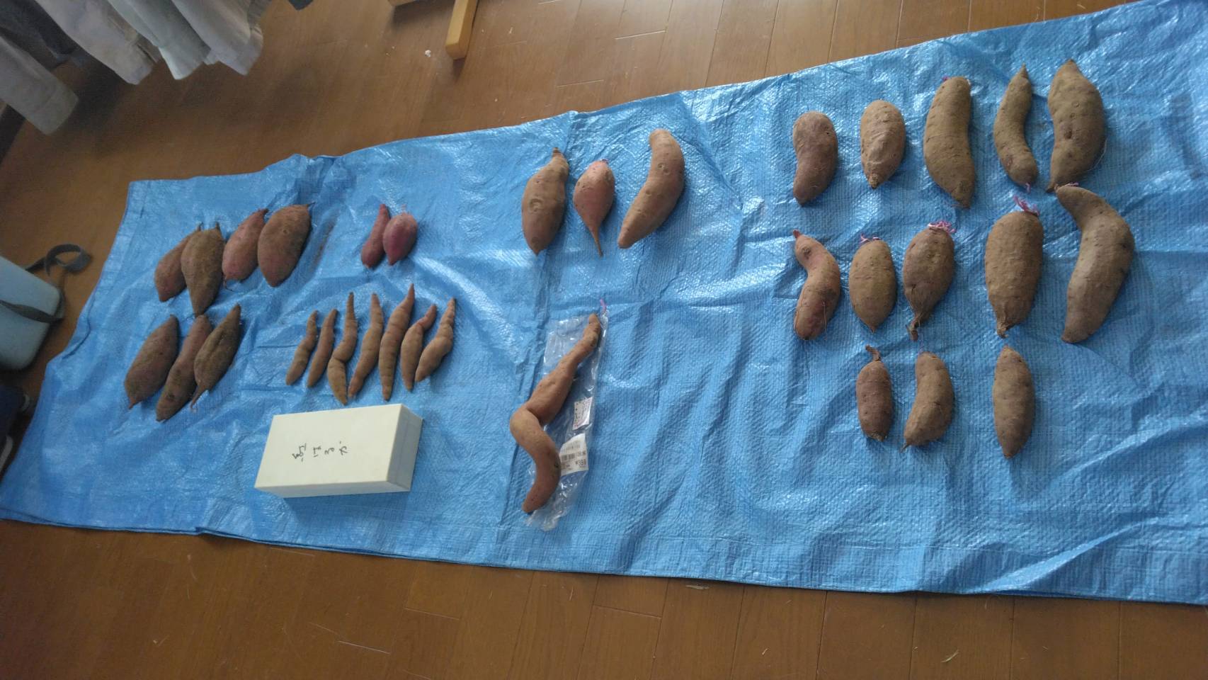 �Ó쎩�R���͔|���̂R