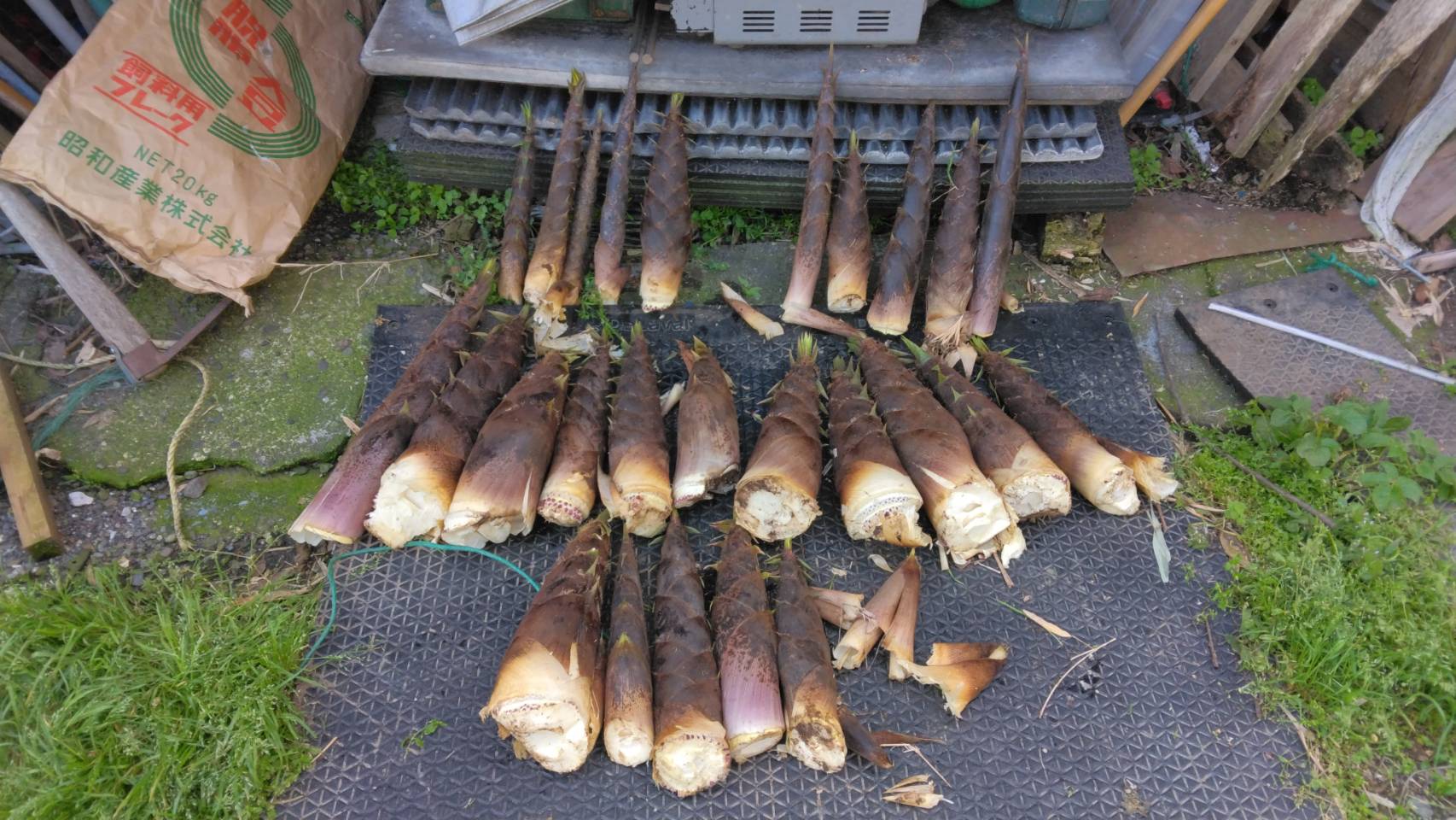 �Ó쎩�R���͔|���̂R