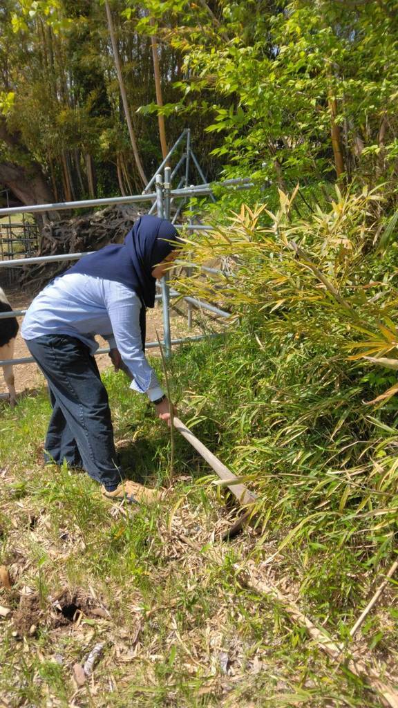 �Ó쎩�R���͔|���̂R