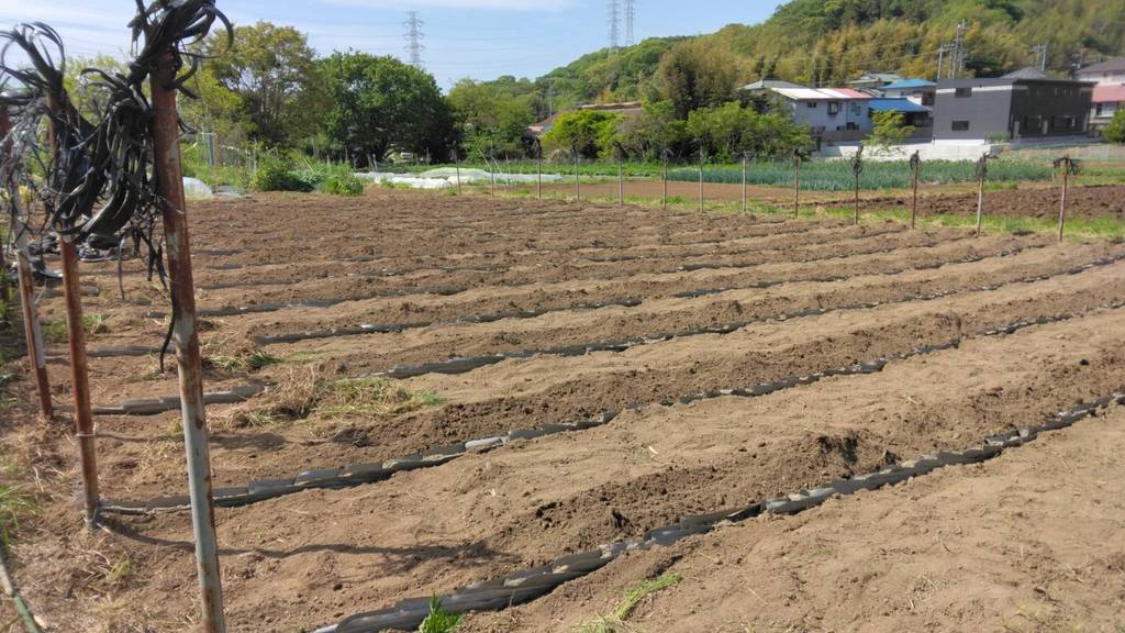 �Ó쎩�R���͔|���̂R