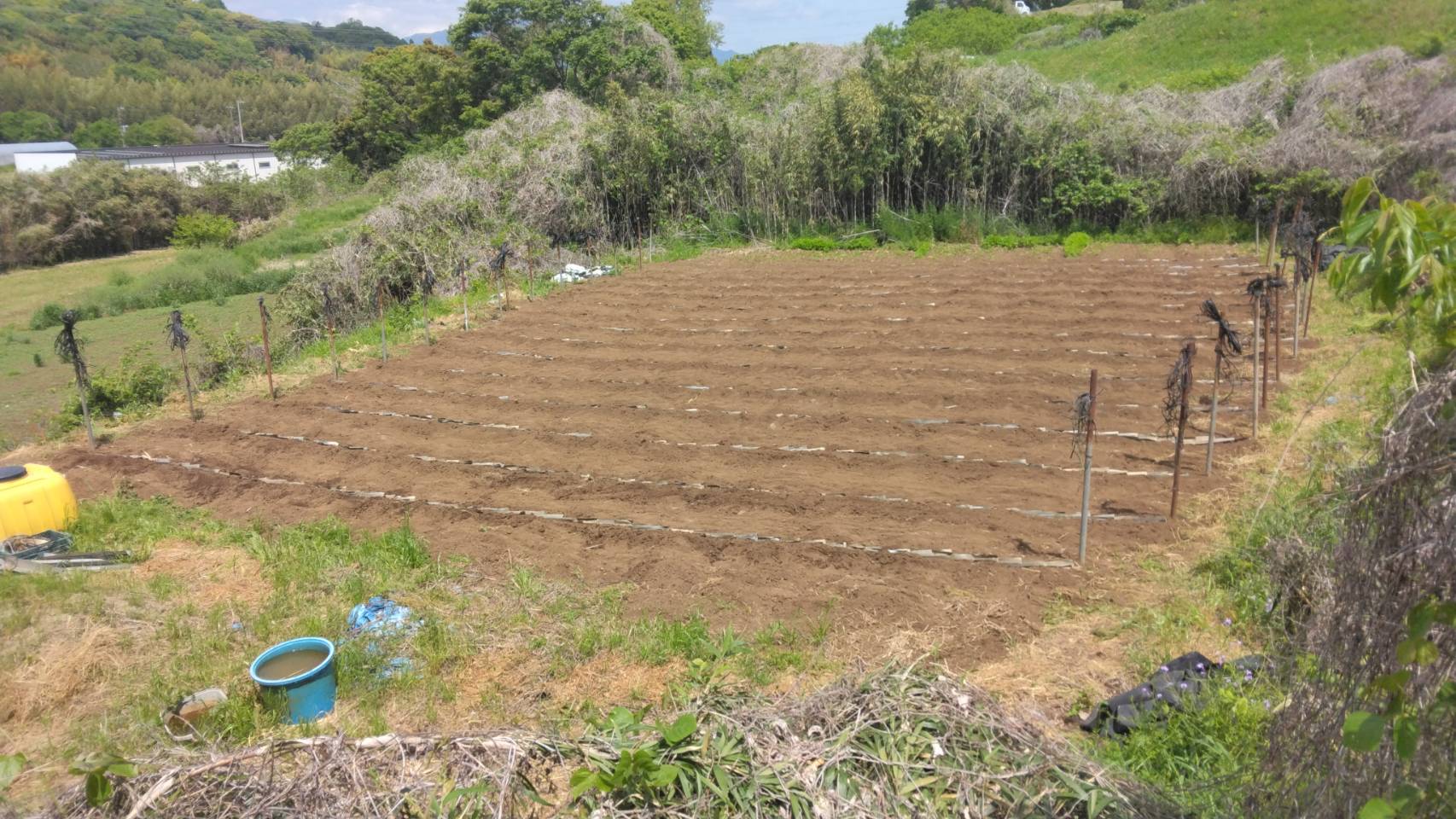 �Ó쎩�R���͔|���̂R