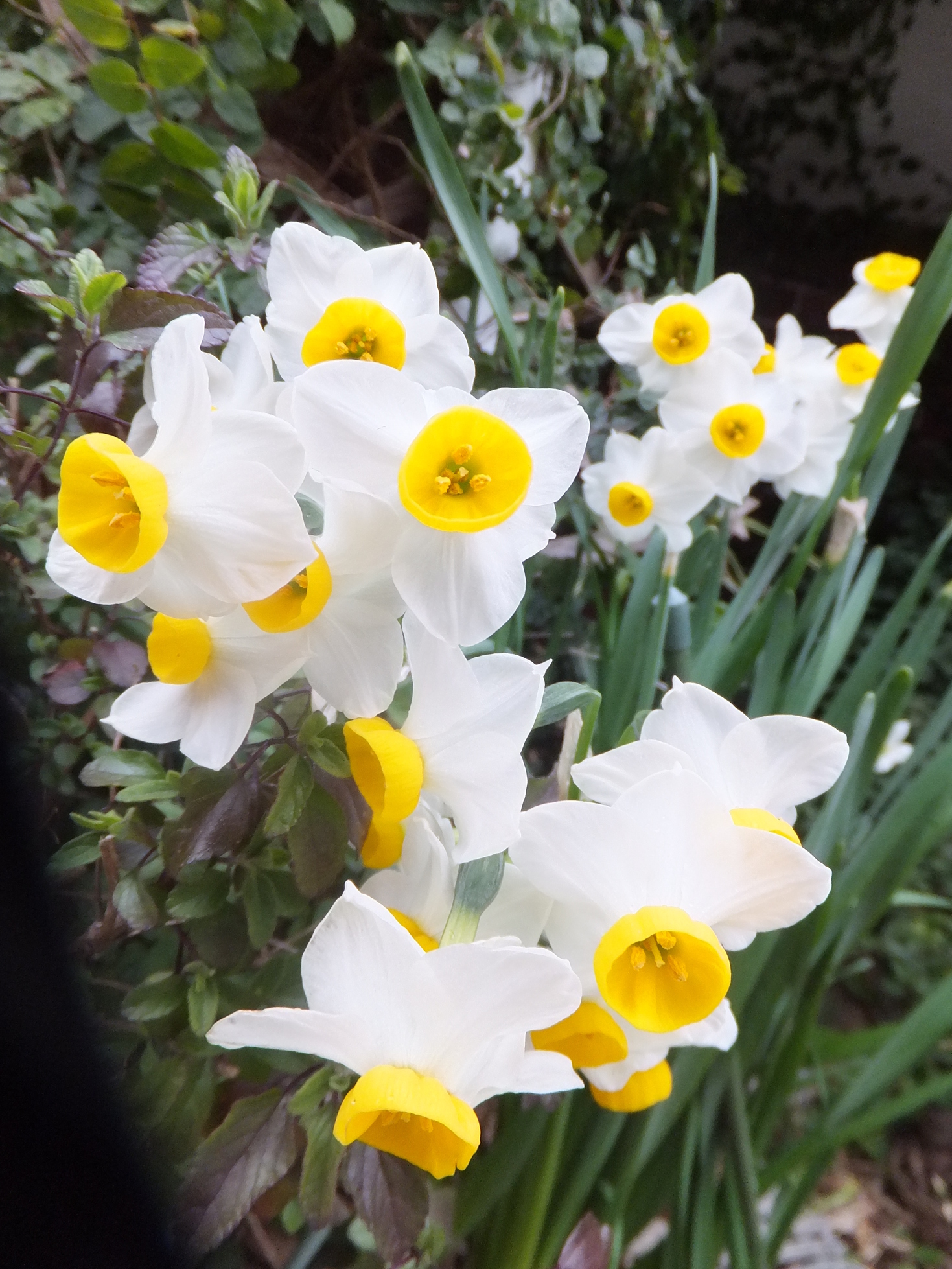 ���@��g�L���C���[��BOX]�@���@[�j�Ə��̕��i]�@�i�Z�ҏ����W�j