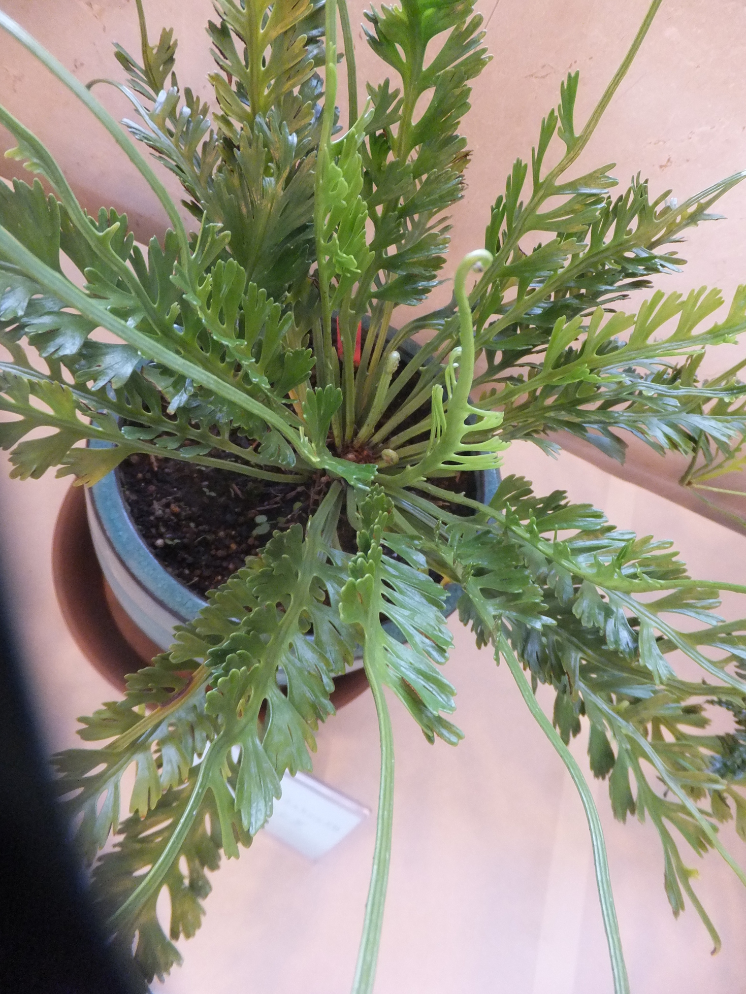 ���@��g�L���C���[��BOX]�@���@[�j�Ə��̕��i]�@�i�Z�ҏ����W�j