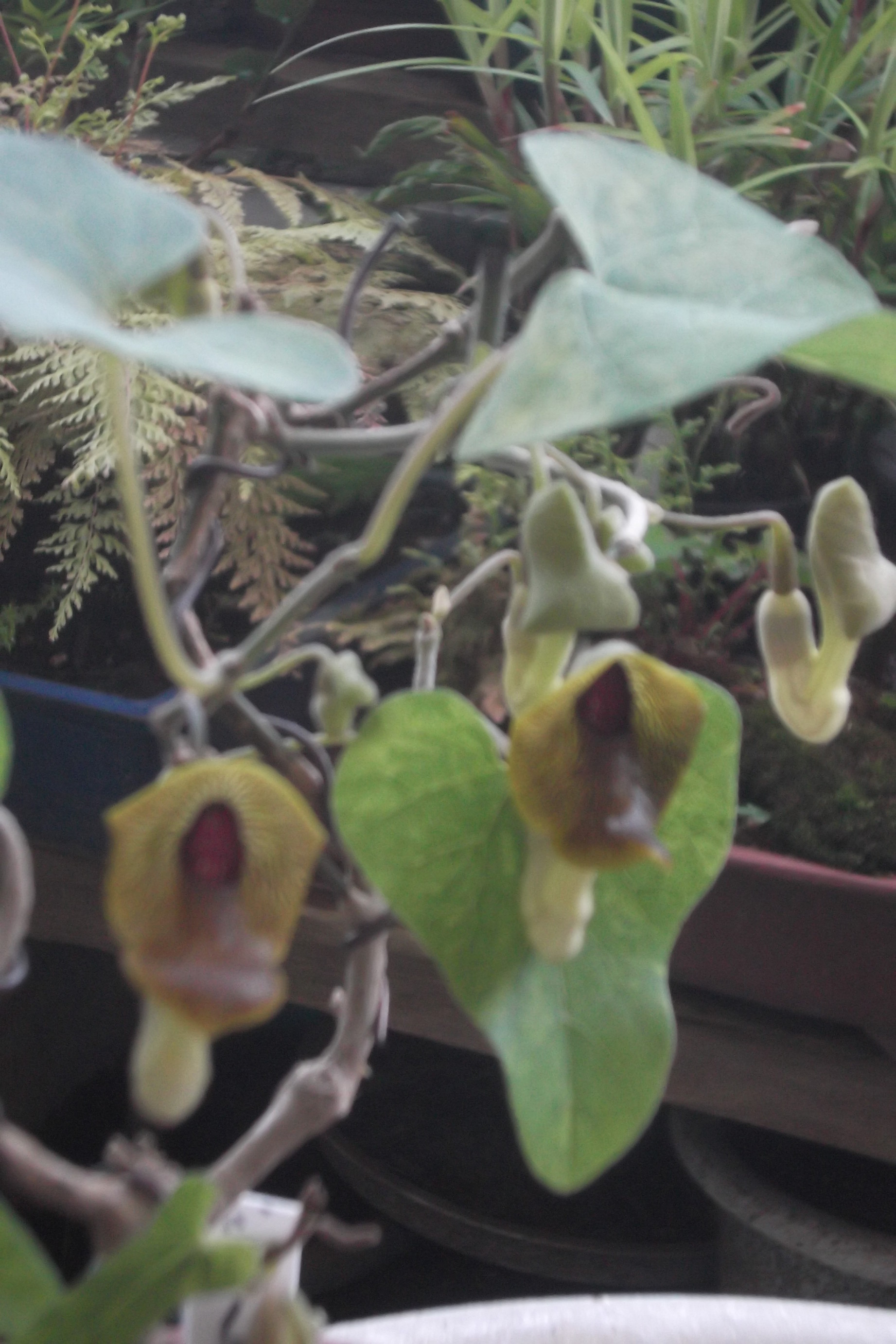 ���@��g�L���C���[��BOX]�@���@[�j�Ə��̕��i]�@�i�Z�ҏ����W�j