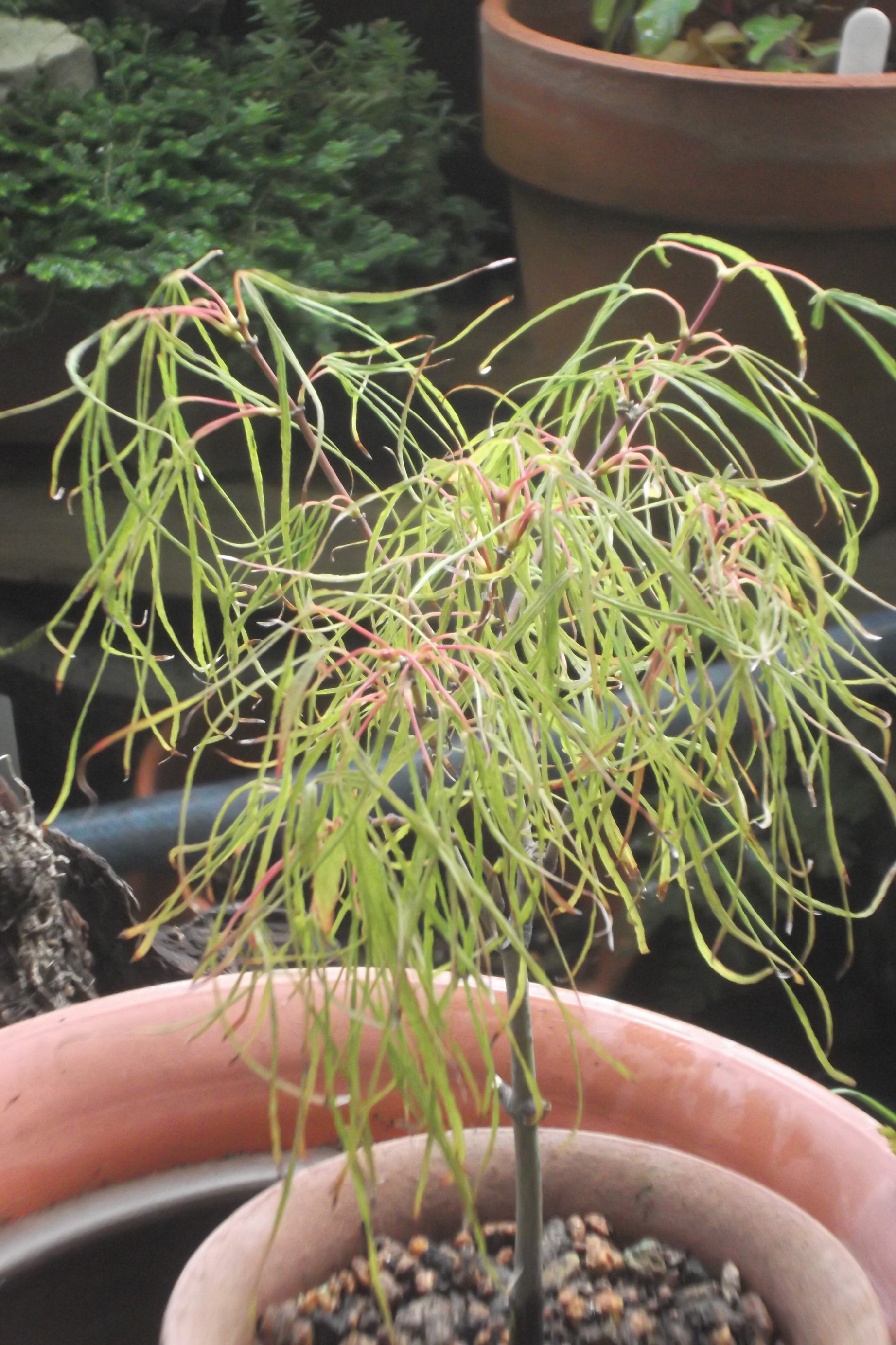 ���@��g�L���C���[��BOX]�@���@[�j�Ə��̕��i]�@�i�Z�ҏ����W�j