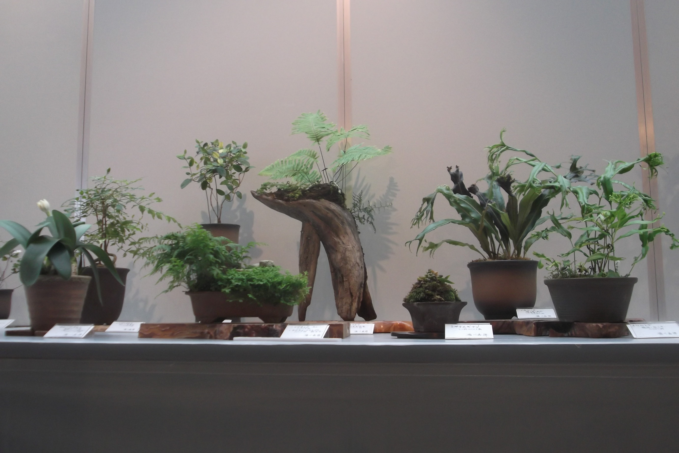 ���@��g�L���C���[��BOX]�@���@[�j�Ə��̕��i]�@�i�Z�ҏ����W�j