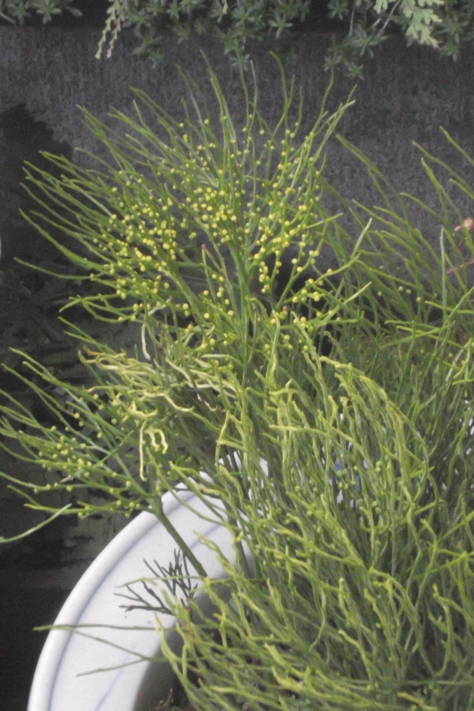 ���@��g�L���C���[��BOX]�@���@[�j�Ə��̕��i]�@�i�Z�ҏ����W�j