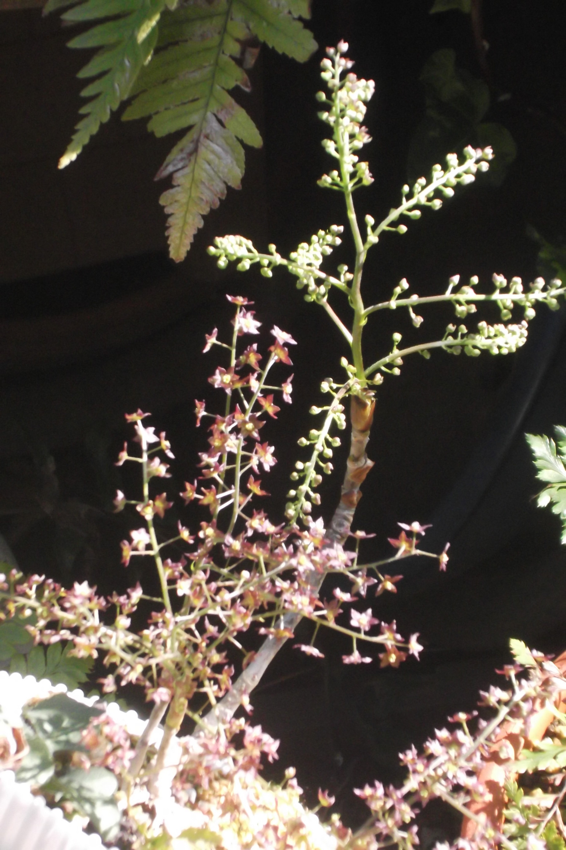 ���@��g�L���C���[��BOX]�@���@[�j�Ə��̕��i]�@�i�Z�ҏ����W�j