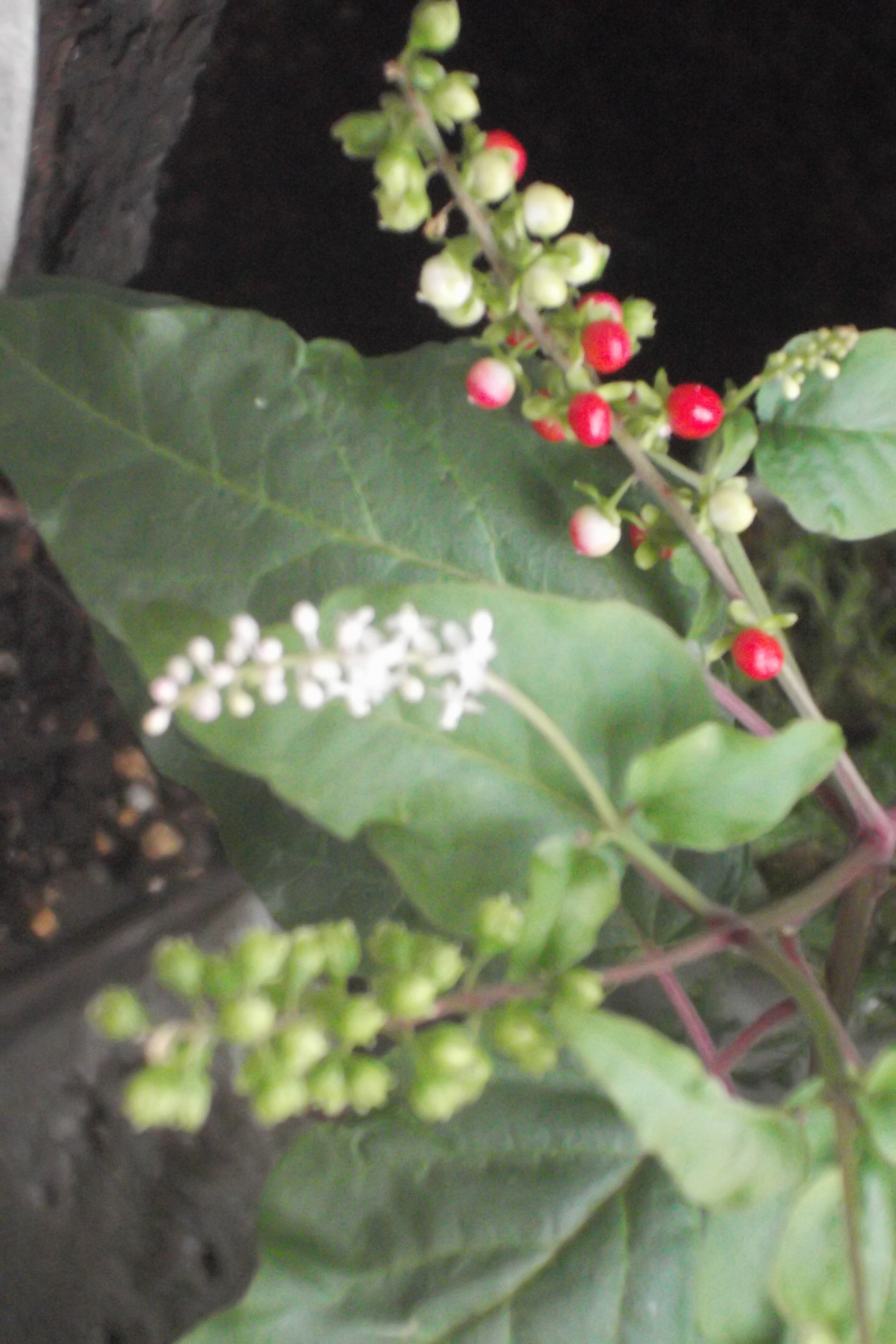 ���@��g�L���C���[��BOX]�@���@[�j�Ə��̕��i]�@�i�Z�ҏ����W�j