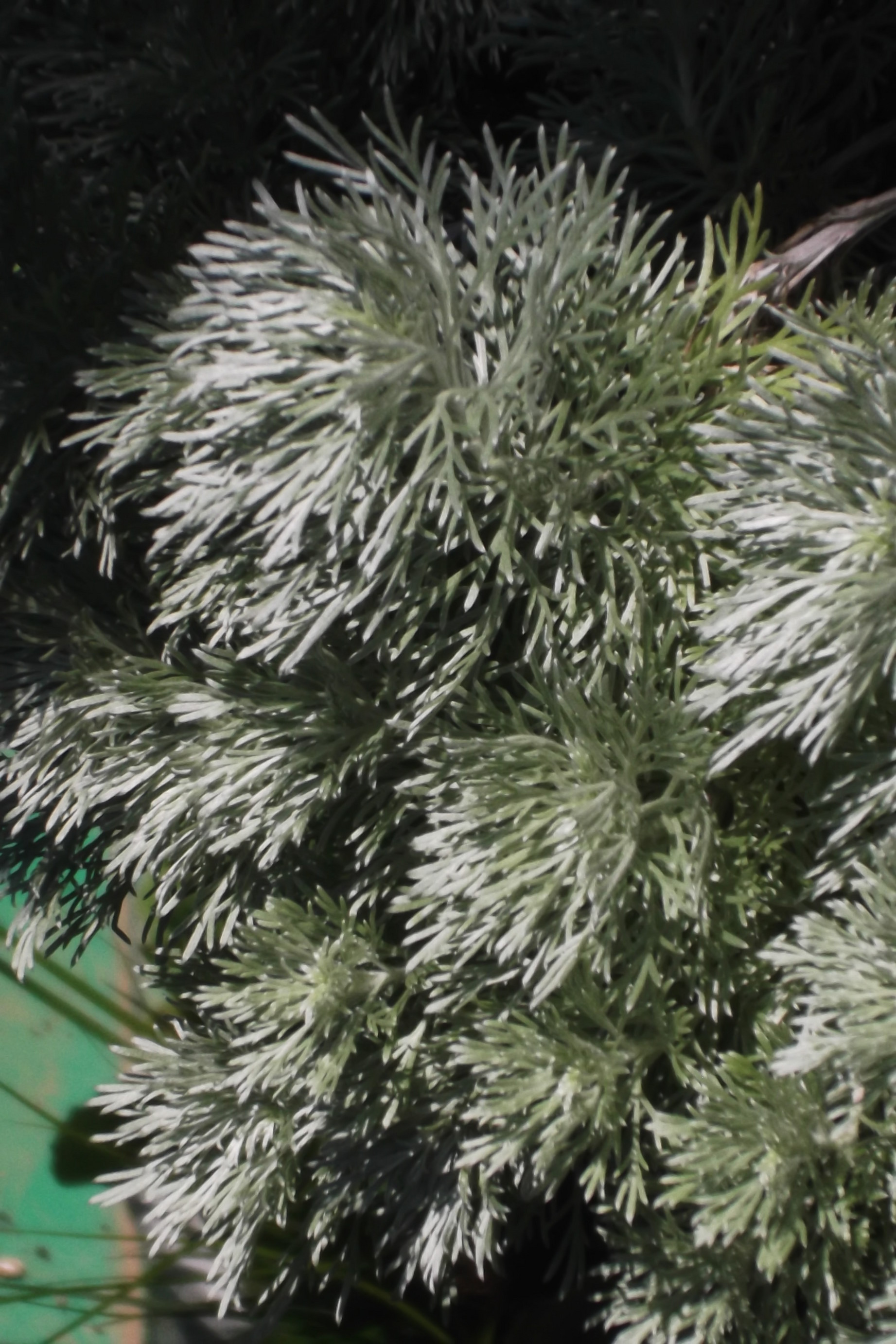 ���@��g�L���C���[��BOX]�@���@[�j�Ə��̕��i]�@�i�Z�ҏ����W�j