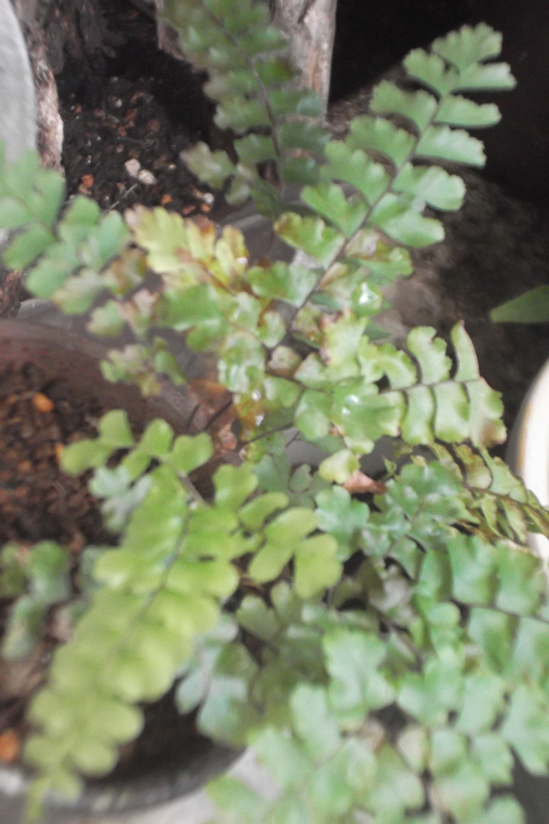 ���@��g�L���C���[��BOX]�@���@[�j�Ə��̕��i]�@�i�Z�ҏ����W�j