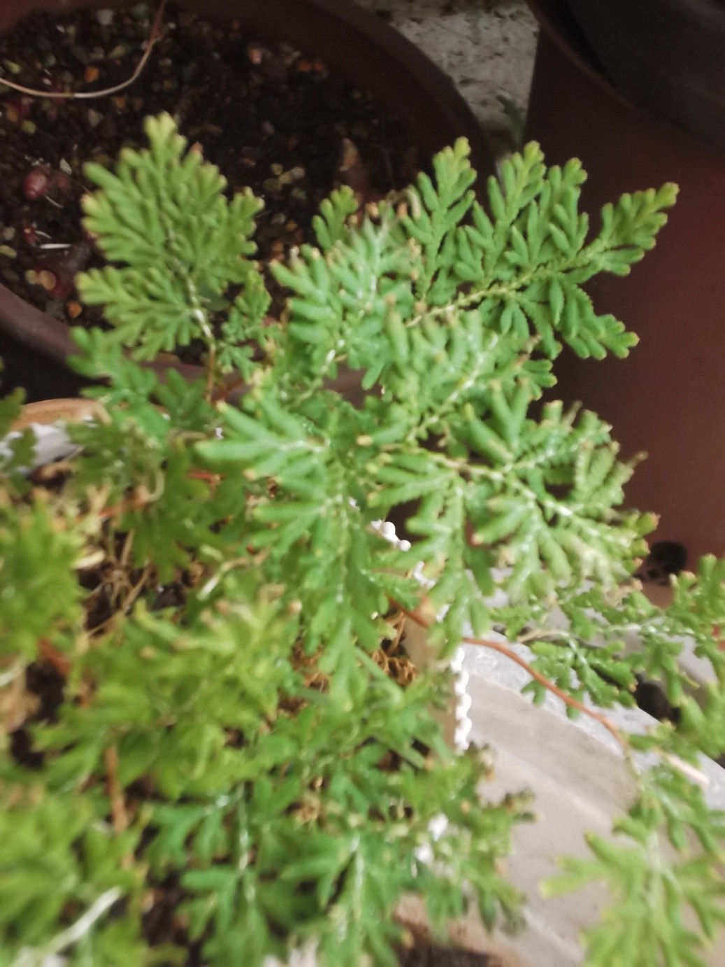 ���@��g�L���C���[��BOX]�@���@[�j�Ə��̕��i]�@�i�Z�ҏ����W�j