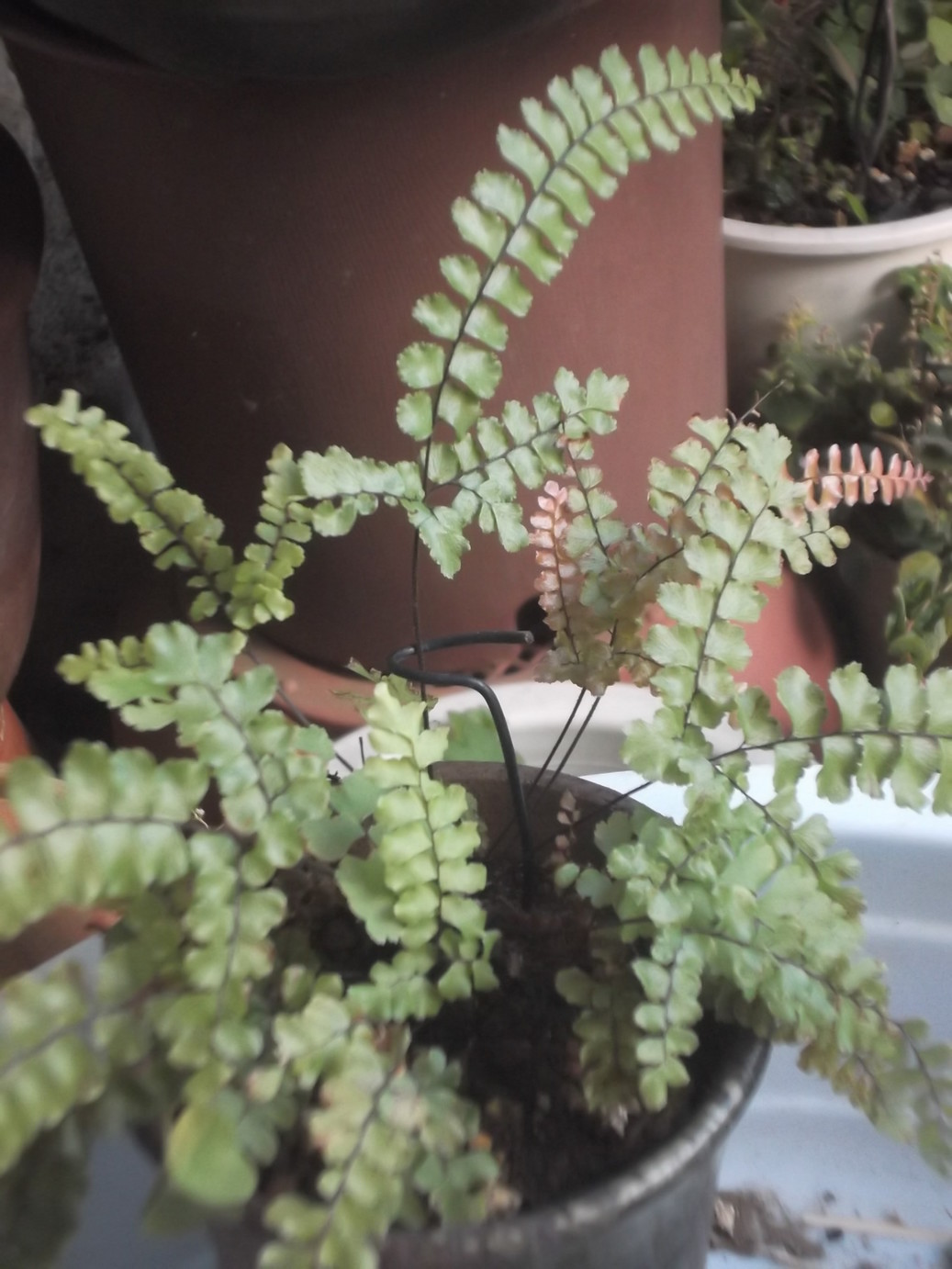 ���@��g�L���C���[��BOX]�@���@[�j�Ə��̕��i]�@�i�Z�ҏ����W�j