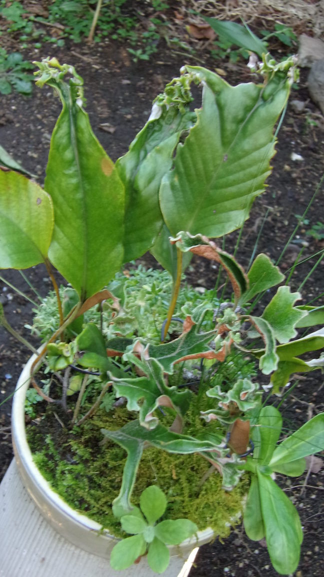 ���@��g�L���C���[��BOX]�@���@[�j�Ə��̕��i]�@�i�Z�ҏ����W�j