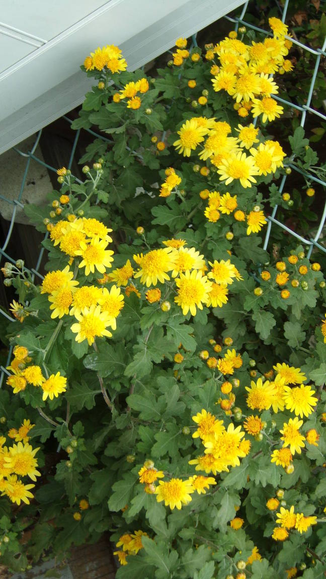 ���@��g�L���C���[��BOX]�@���@[�j�Ə��̕��i]�@�i�Z�ҏ����W�j