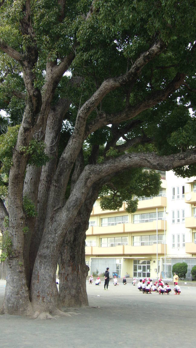 ���@��g�L���C���[��BOX]�@���@[�j�Ə��̕��i]�@�i�Z�ҏ����W�j