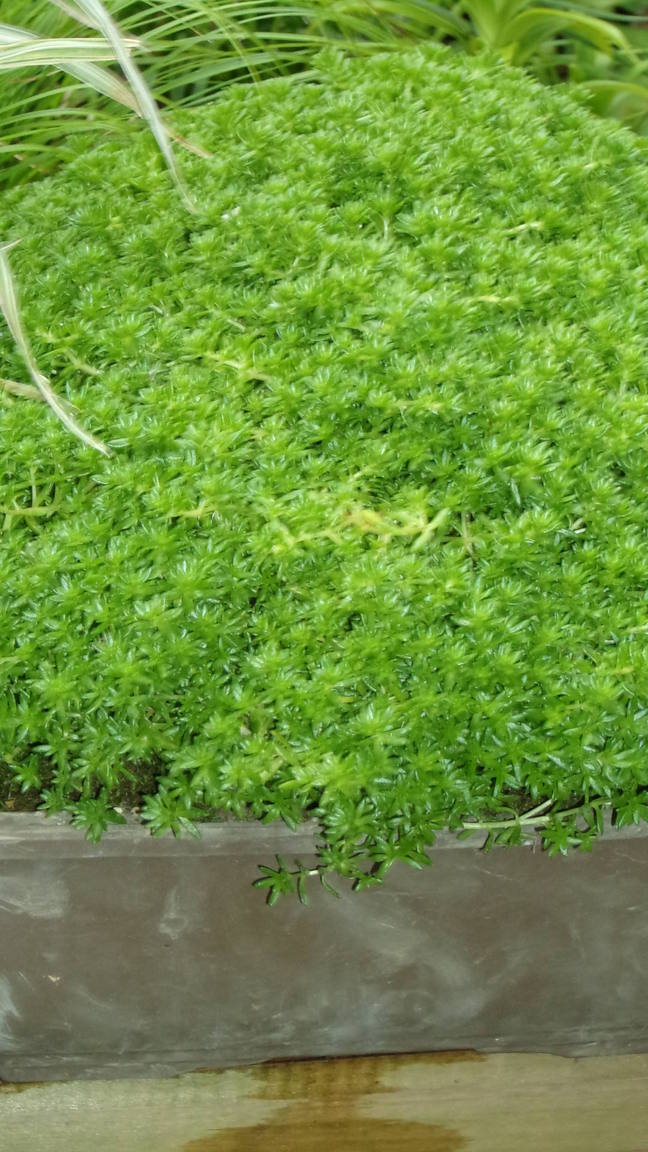 ���@��g�L���C���[��BOX]�@���@[�j�Ə��̕��i]�@�i�Z�ҏ����W�j