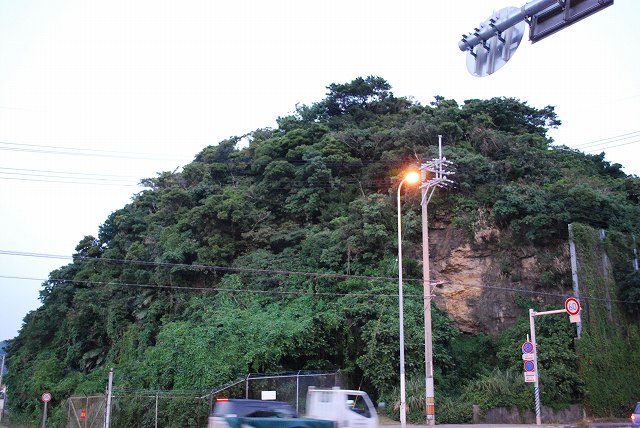 ���₶�̎