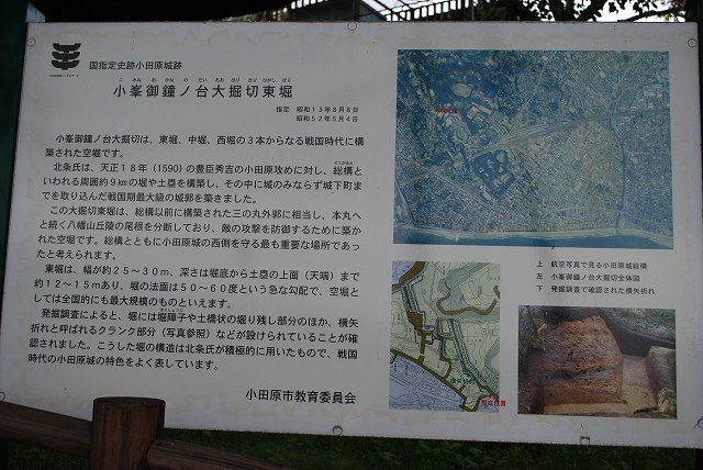 ���₶�̎